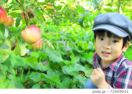 りんご畑と男の子 72609031