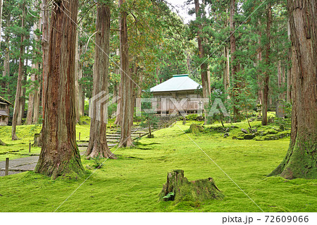 【平泉寺白山神社 (拝殿)】 福井県勝山市平泉寺町 72609066