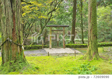 【平泉寺白山神社 (御手洗池)】 福井県勝山市平泉寺町 【平泉寺白山神社 (御手洗池)】 福井県勝山市平泉寺町 72609090