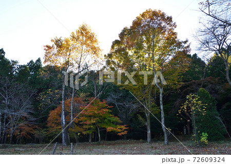 秋の山縣有朋記念館 #91 秋の山縣有朋記念館 #91 72609324
