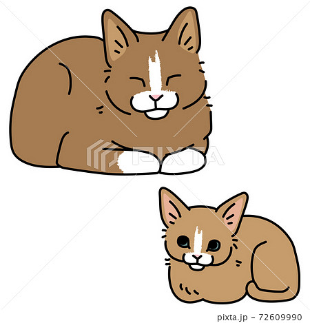 ハチワレ猫の親子のイラスト素材
