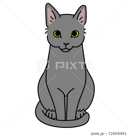 Gray cat icon in flat style Royalty Free Vector Image