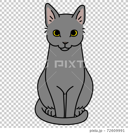 正面を向いて座るグレーの猫のイラスト素材