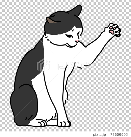 Hachiware的貓猛擊貓 72609993