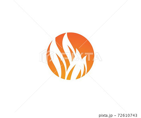 Fire flame Logo Template 72610743
