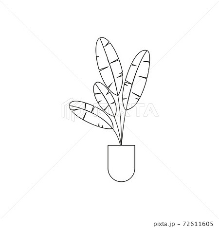 Isolated flower vase draw 72611605