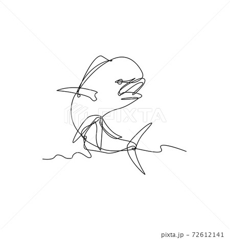 Mahi-mahi or Common Dolphinfish Jumping Up Continuous Line Drawing Black and White Mahi-mahi or Common Dolphinfish Jumping Up Continuous Line Drawing Black and White 72612141
