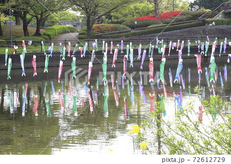 こいのぼり 群馬県館林市 鶴生田川(つるうだがわ) こいのぼり 群馬県館林市 鶴生田川(つるうだがわ) 72612729