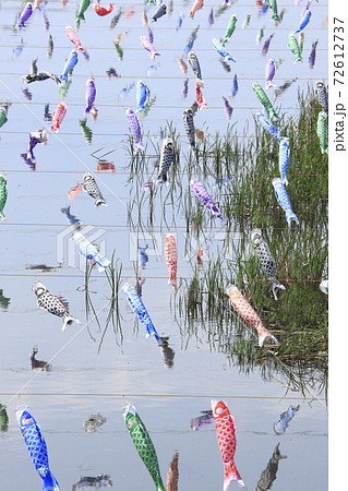 こいのぼり 群馬県館林市 鶴生田川(つるうだがわ) こいのぼり 群馬県館林市 鶴生田川(つるうだがわ) 72612737