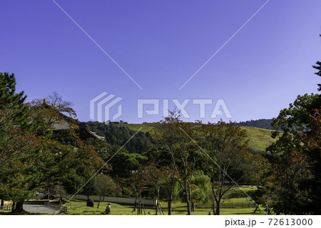 東大寺 大仏殿と若草山 奈良県奈良市 東大寺 大仏殿と若草山 奈良県奈良市 72613000