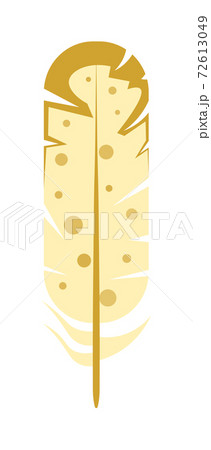 Straight pigeon feather isolated on white background 72613049