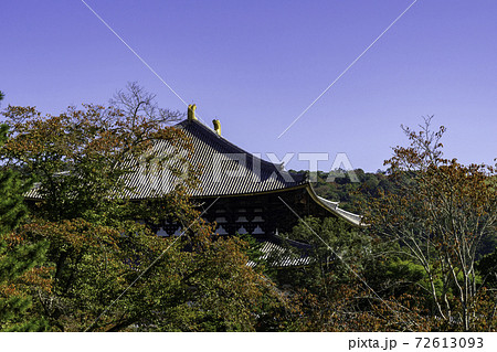 東大寺　大仏殿　奈良県奈良市 72613093