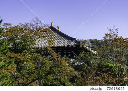 東大寺　大仏殿　奈良県奈良市 72613095