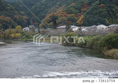 瀬音にシラサギ舞う清流錦川　錦帯橋 72613759