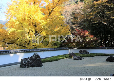 玉堂美術館園庭 玉堂美術館園庭 72614887