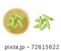 さやえんどうのイラスト 72615622