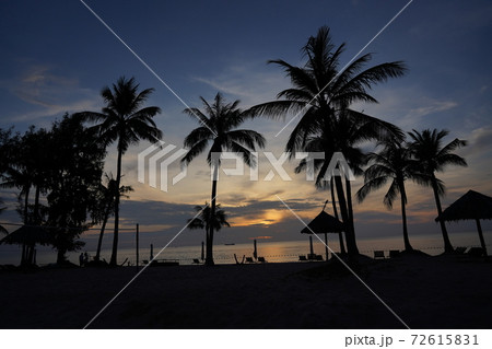 ヤシの木と海のリゾート地ベトナム フーコック島の海と夕焼け ヤシの木と海のリゾート地ベトナム フーコック島の海と夕焼け 72615831
