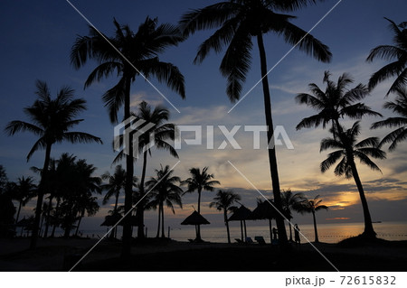 ヤシの木と海のリゾート地ベトナム フーコック島の海と夕焼け ヤシの木と海のリゾート地ベトナム フーコック島の海と夕焼け 72615832