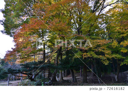 秋の山縣有朋記念館　　＃111 72616182