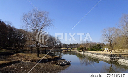 水が少ない御所沼の風景 古河公方公園 古河総合公園 茨城県の写真素材