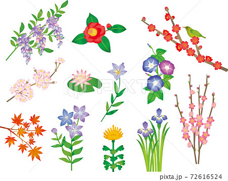 日本の四季の花 水彩風のイラスト素材