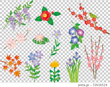 日本四季花水彩風格 72616524