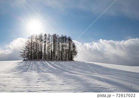 12月美瑛マイルドセブンの丘の壮大な雪影 12月美瑛マイルドセブンの丘の壮大な雪影 72617022