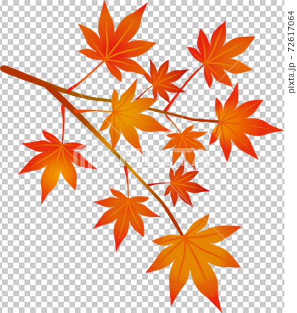 秋天的樹葉水彩風格 秋天的樹葉水彩風格 72617064
