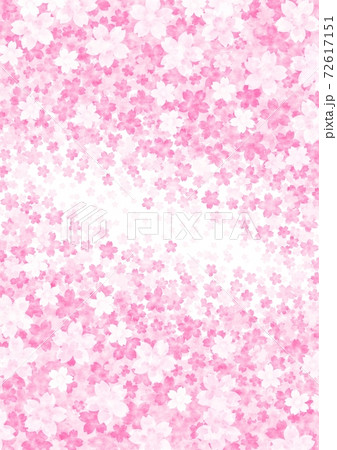 桜の花が上下に広がる背景イラスト No 02のイラスト素材