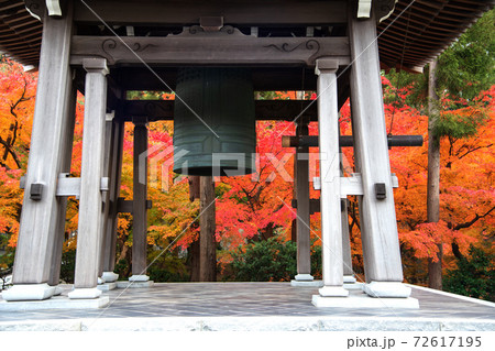 鐘楼と紅葉 72617195