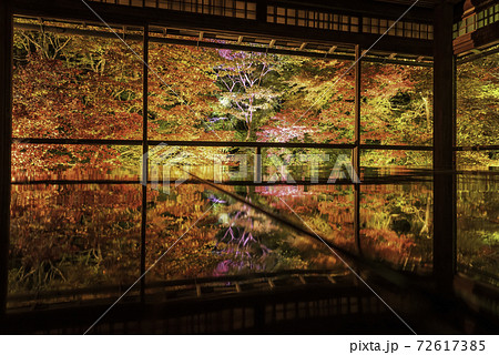 京都・八瀬 瑠璃光院の机もみじ 秋のライトアップ 京都・八瀬 瑠璃光院の机もみじ 秋のライトアップ 72617385