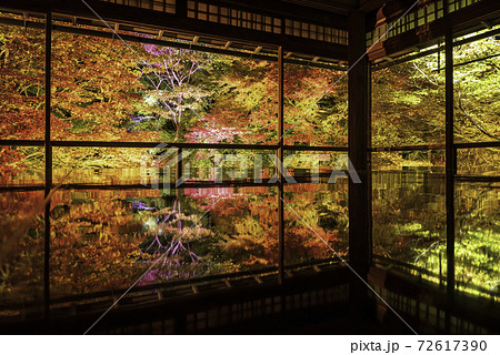 京都・八瀬 瑠璃光院の机もみじ 秋のライトアップ 京都・八瀬 瑠璃光院の机もみじ 秋のライトアップ 72617390