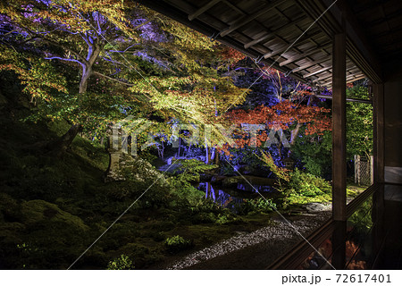 京都・八瀬　瑠璃光院　臥龍の庭　秋のライトアップ 72617401