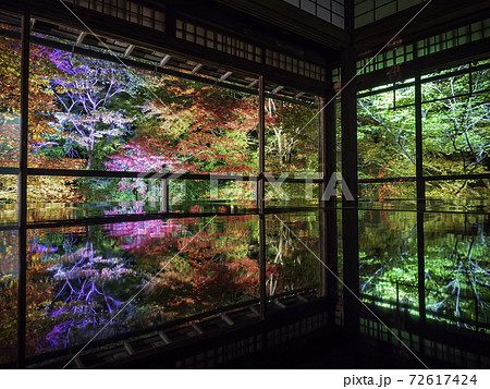 京都・八瀬 瑠璃光院の机もみじ 秋のライトアップ 京都・八瀬 瑠璃光院の机もみじ 秋のライトアップ 72617424