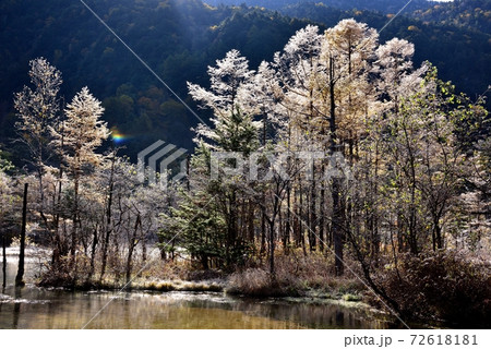 上高地の紅葉 72618181