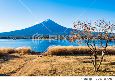 河口湖から眺める富士山 冬景 河口湖から眺める富士山 冬景 72618720