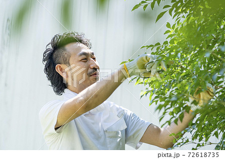 剪定する庭師男性の写真素材