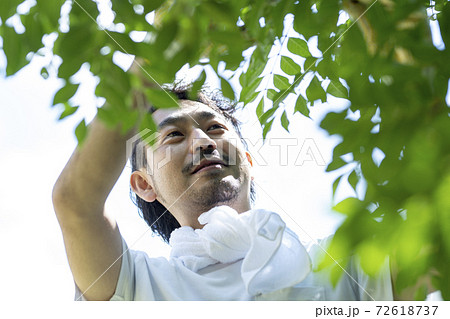 剪定する庭師男性 剪定する庭師男性 72618737