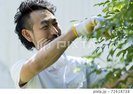 剪定する庭師男性 剪定する庭師男性 72618738