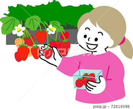 イチゴ狩りを楽しむ女性のイラスト素材