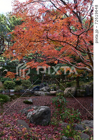 紅葉の松籟庵　茅ヶ崎市　 72619648