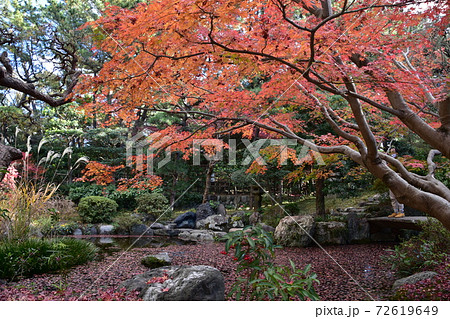 紅葉の松籟庵　茅ヶ崎市　 72619649
