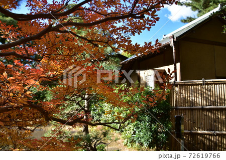 紅葉の松籟庵 茅ヶ崎市 紅葉の松籟庵 茅ヶ崎市 72619766