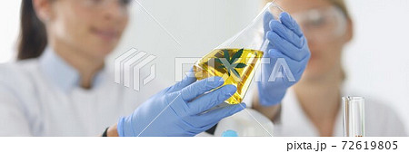 Researcher with glasses holds test tube with marijuana. Researcher with glasses holds test tube with marijuana. 72619805