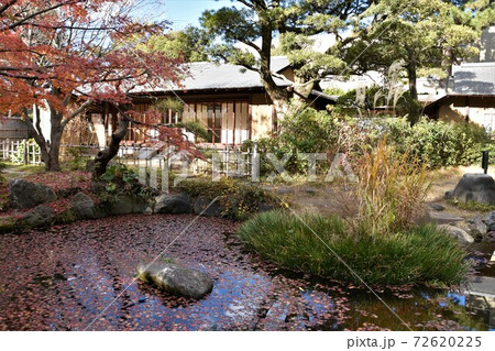 紅葉の松籟庵　茅ヶ崎市　 72620225