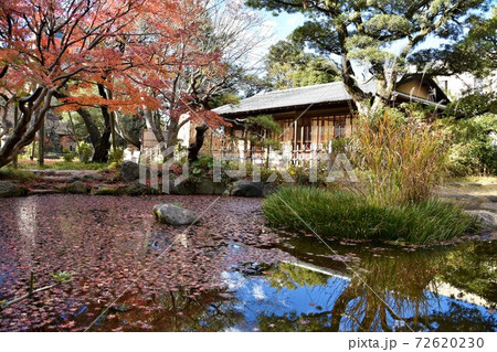 紅葉の松籟庵　茅ヶ崎市　 72620230