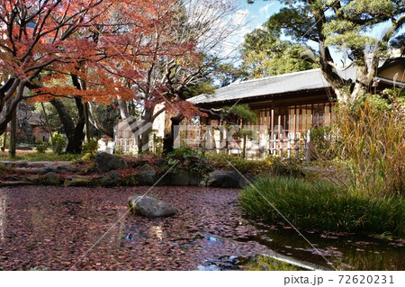 紅葉の松籟庵　茅ヶ崎市　 72620231