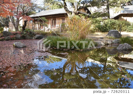 紅葉の松籟庵　茅ヶ崎市　 72620311