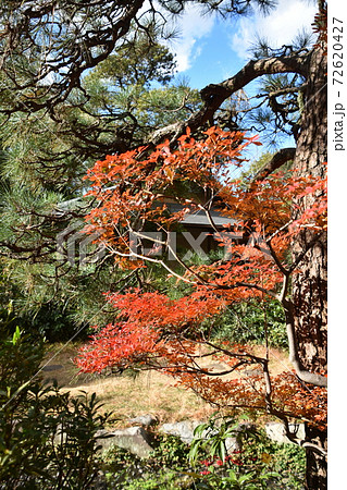 紅葉の松籟庵　茅ヶ崎市　 72620427