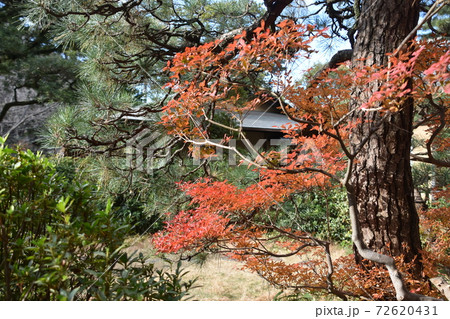 紅葉の松籟庵　茅ヶ崎市　 72620431